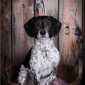 Meet your Posher, Angie